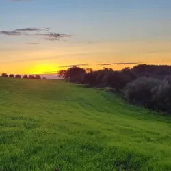 Souk El Had Market - Bordj Bou Arreridj