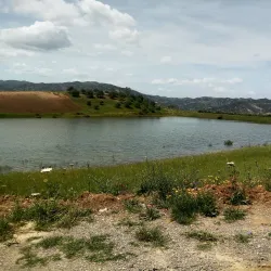 Ain Turk Waterfalls - Bouira