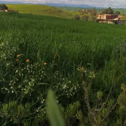 Ain Turk Waterfalls - Bouira