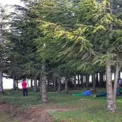 Tizi Ouzou Road Scenic Drive - Bouira