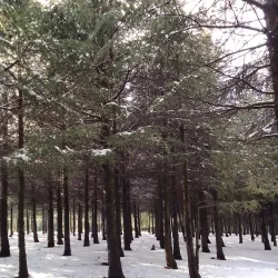 Tizi Ouzou Road Scenic Drive - Bouira