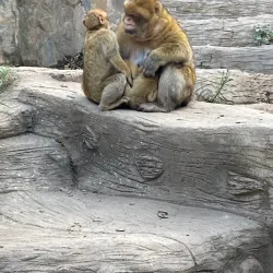 Chrea National Park - Boumerdes