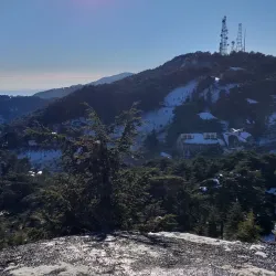 Chrea National Park - Boumerdes