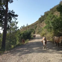 Natural Surroundings and Hiking - Chelghoum Laid