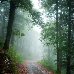 Natural Surroundings and Hiking - Chelghoum Laid