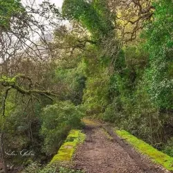 Natural Surroundings and Hiking - Chelghoum Laid