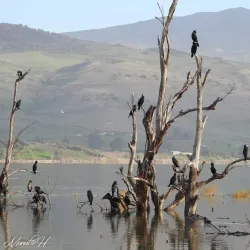 Nearby Natural Springs - Chelghoum Laid