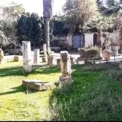 Chlef Museum - Chlef