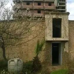 Chlef Museum - Chlef