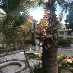 Chlef Museum - Chlef