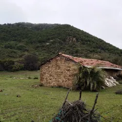 Sidi Abderrahmane Mosque - Chlef