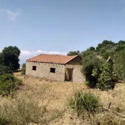 Sidi Abderrahmane Mosque - Chlef