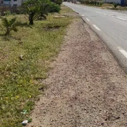 Sidi Abderrahmane Mosque - Chlef