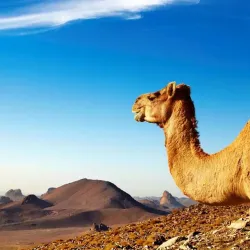 Tassili n'Ajjer National Park (nearby) - Chlef