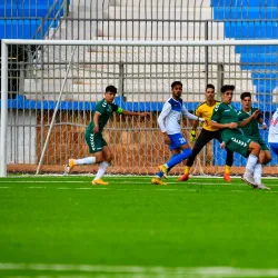 El Bayadh Market (Souk) - El Bayadh