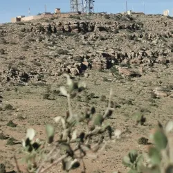 Local Traditional Festivals - El Bayadh