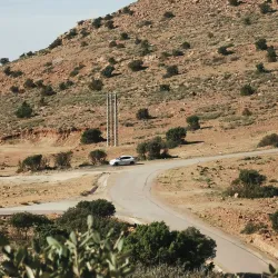 Local Traditional Festivals - El Bayadh