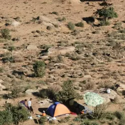 Local Traditional Festivals - El Bayadh