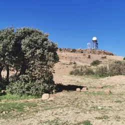 Local Traditional Festivals - El Bayadh