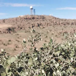 Local Traditional Festivals - El Bayadh