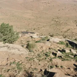 Local Traditional Festivals - El Bayadh