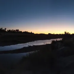 Oued Guir Oasis - El Bayadh