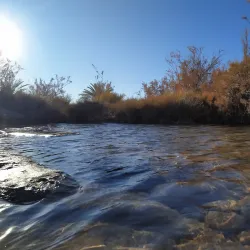 Oued Guir Oasis - El Bayadh