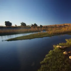 Oued Guir Oasis - El Bayadh