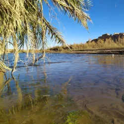 Oued Guir Oasis - El Bayadh