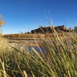 Oued Guir Oasis - El Bayadh