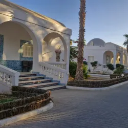 El Oued Palm Groves - El Oued