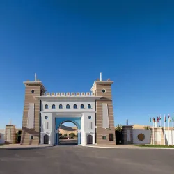 El Oued Palm Groves - El Oued