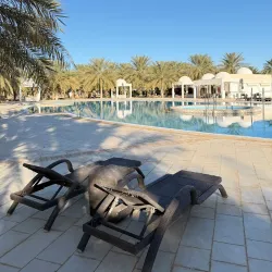 El Oued Palm Groves - El Oued