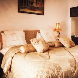 El Oued Palm Groves - El Oued