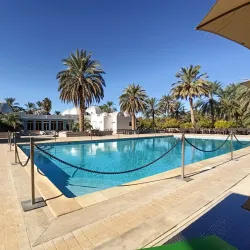 El Oued Palm Groves - El Oued