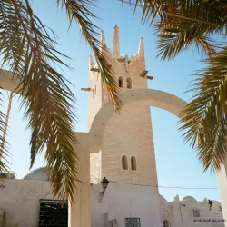 Oued Souf Oasis - El Oued