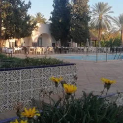 Oued Souf Oasis - El Oued