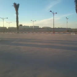 The Domed Houses of El Oued - El Oued