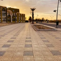 The Domed Houses of El Oued - El Oued