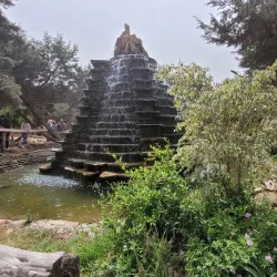 Bou Habet Forest - Guelma