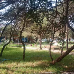 Bou Habet Forest - Guelma