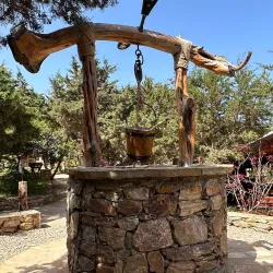 Bou Habet Forest - Guelma