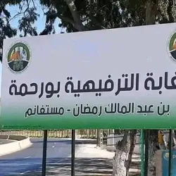 Bou Habet Forest - Guelma