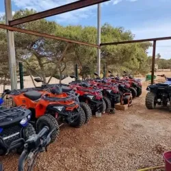 Bou Habet Forest - Guelma