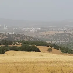 Guelma National Park - Guelma