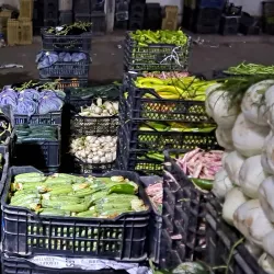 Local Markets of Guelma - Guelma