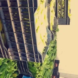 Local Markets of Guelma - Guelma