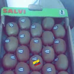 Local Markets of Guelma - Guelma