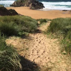 Agricultural Tours - Hassi Bahbah