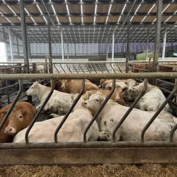 Agricultural Tours - Hassi Bahbah